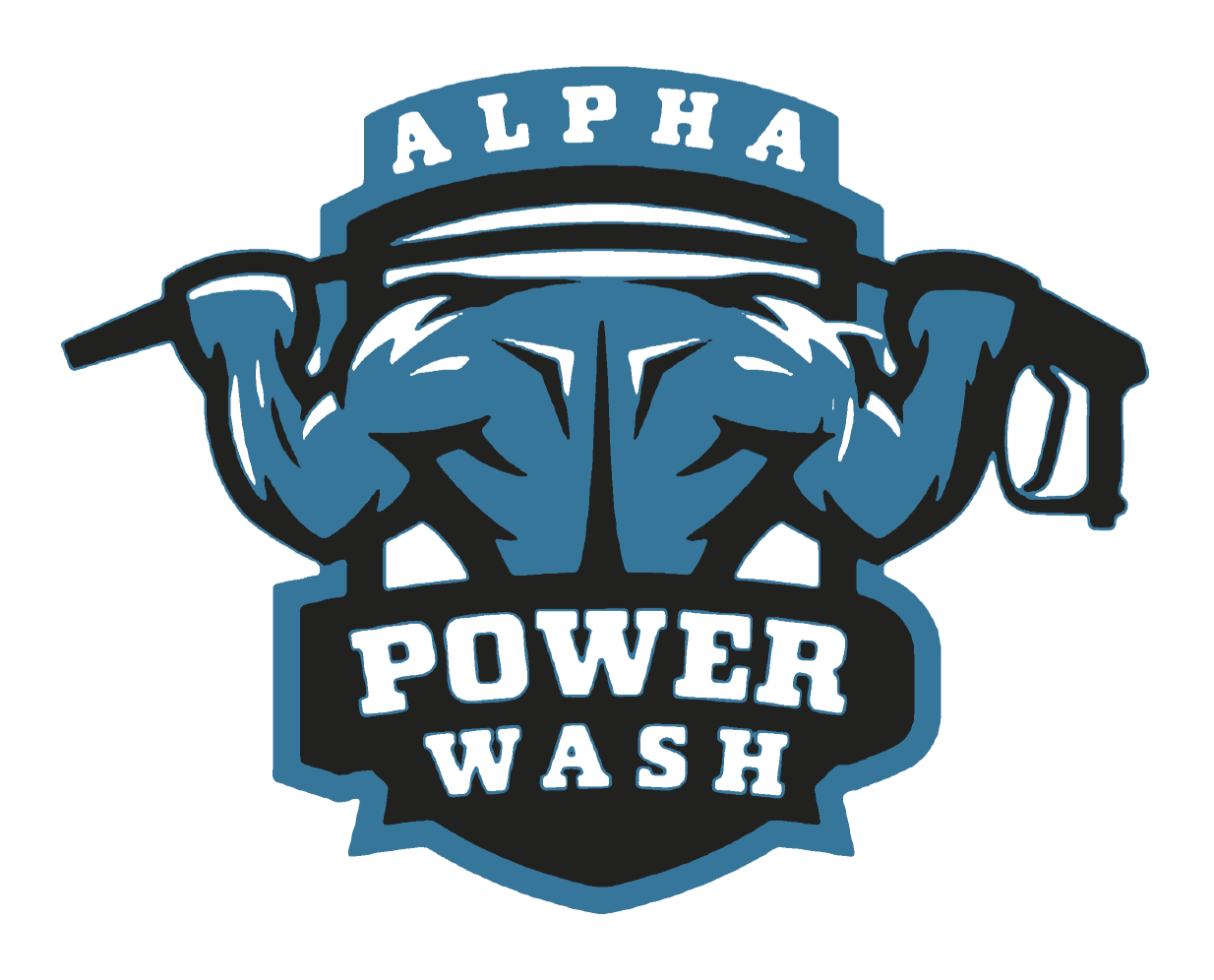 Alpha Power Wash